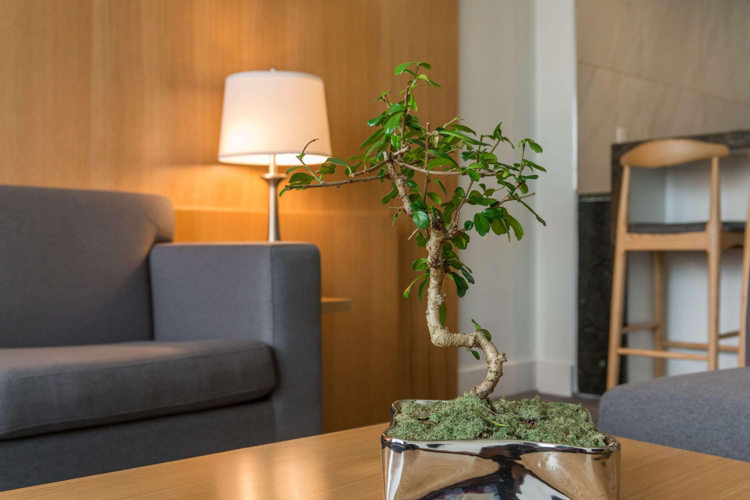 The West Wing Boutique Hotel Tampa Zewnętrze zdjęcie